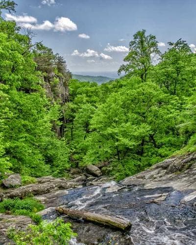 밴딩 와이드 코튼 팬츠